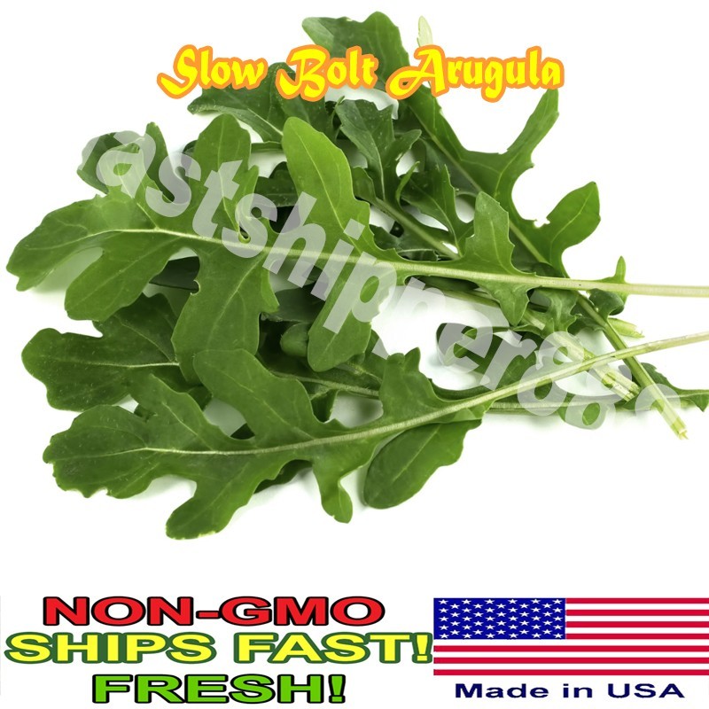 Slow Bolt Arugula Seeds for Planting | Non-GMO Vegetable Garden Seeds