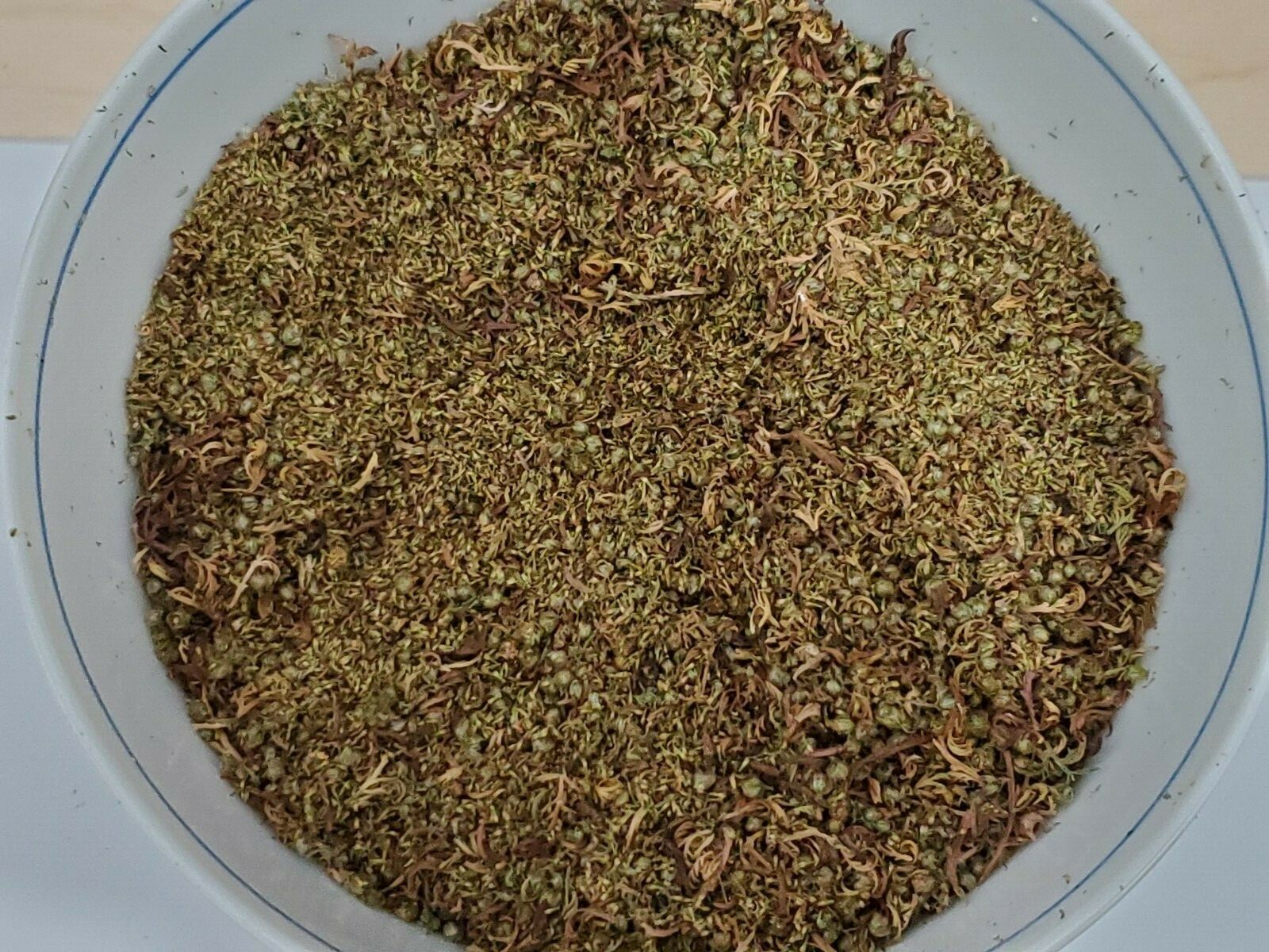 Artemisia Annua Sweet Wormwood Seeds (2 Grams)