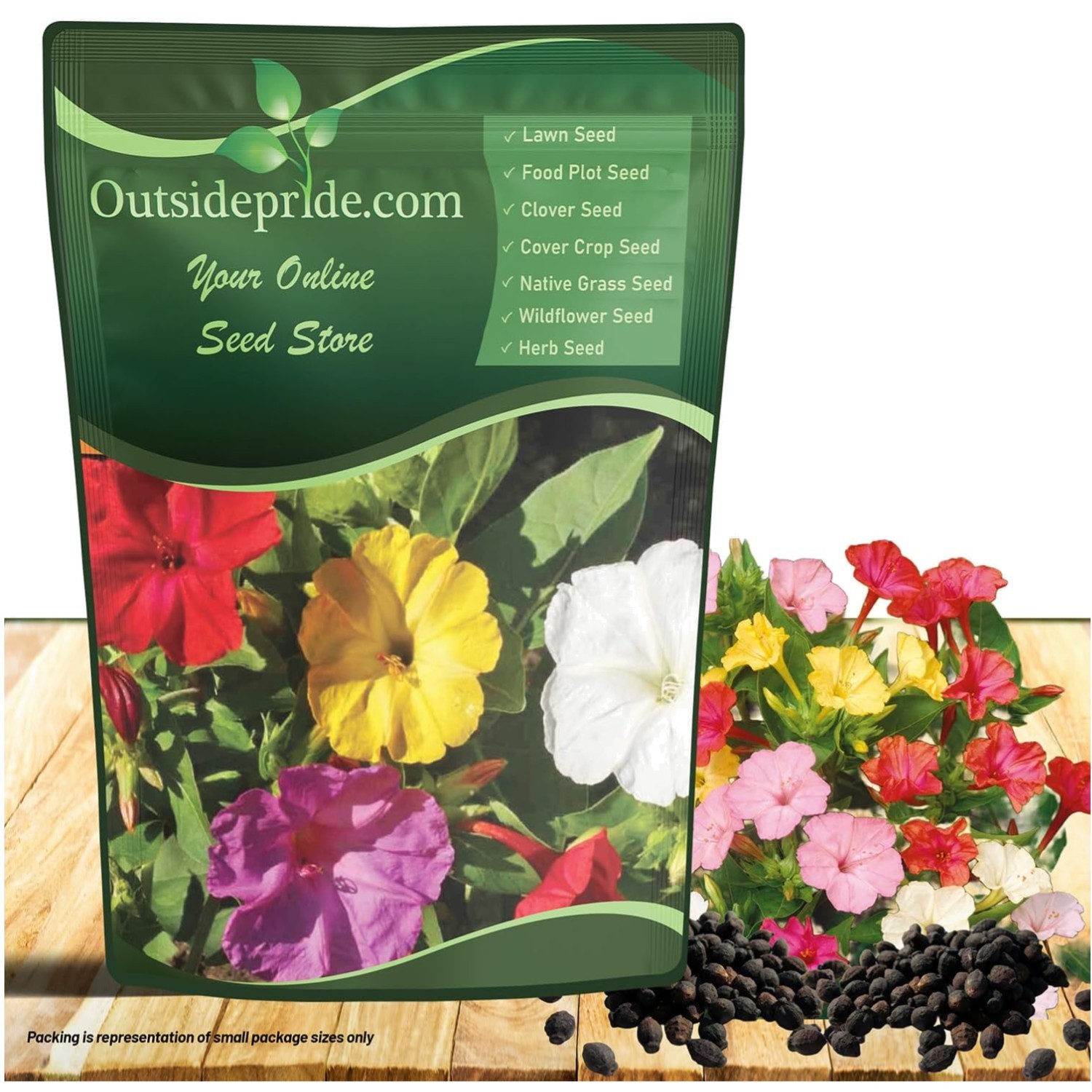 Colorful Trumpet Flowers – Pollinator Friendly Blooms