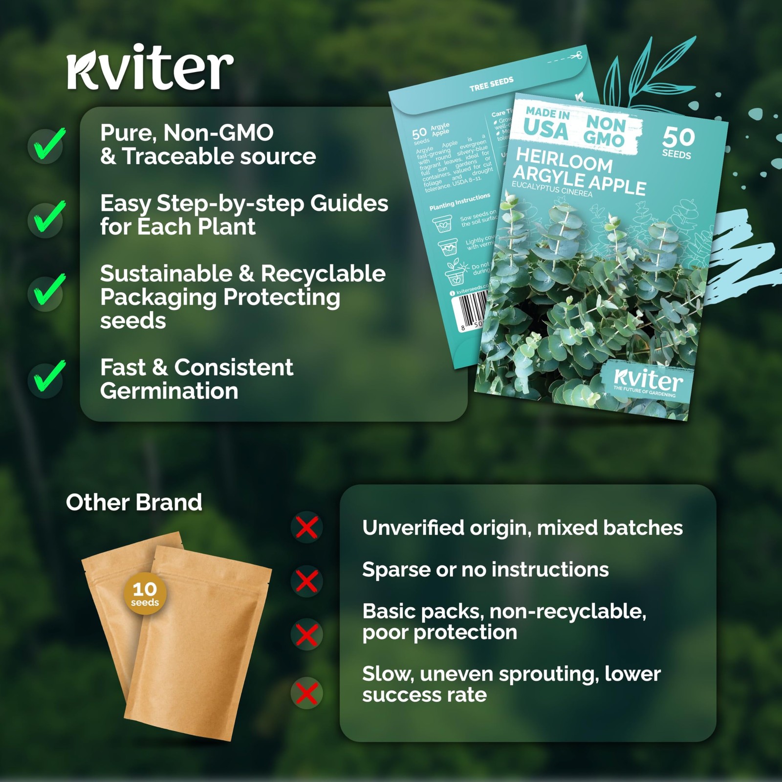 KVITER 50 Argyle Apple Eucalyptus Seeds (Eucalyptus Cinerea)