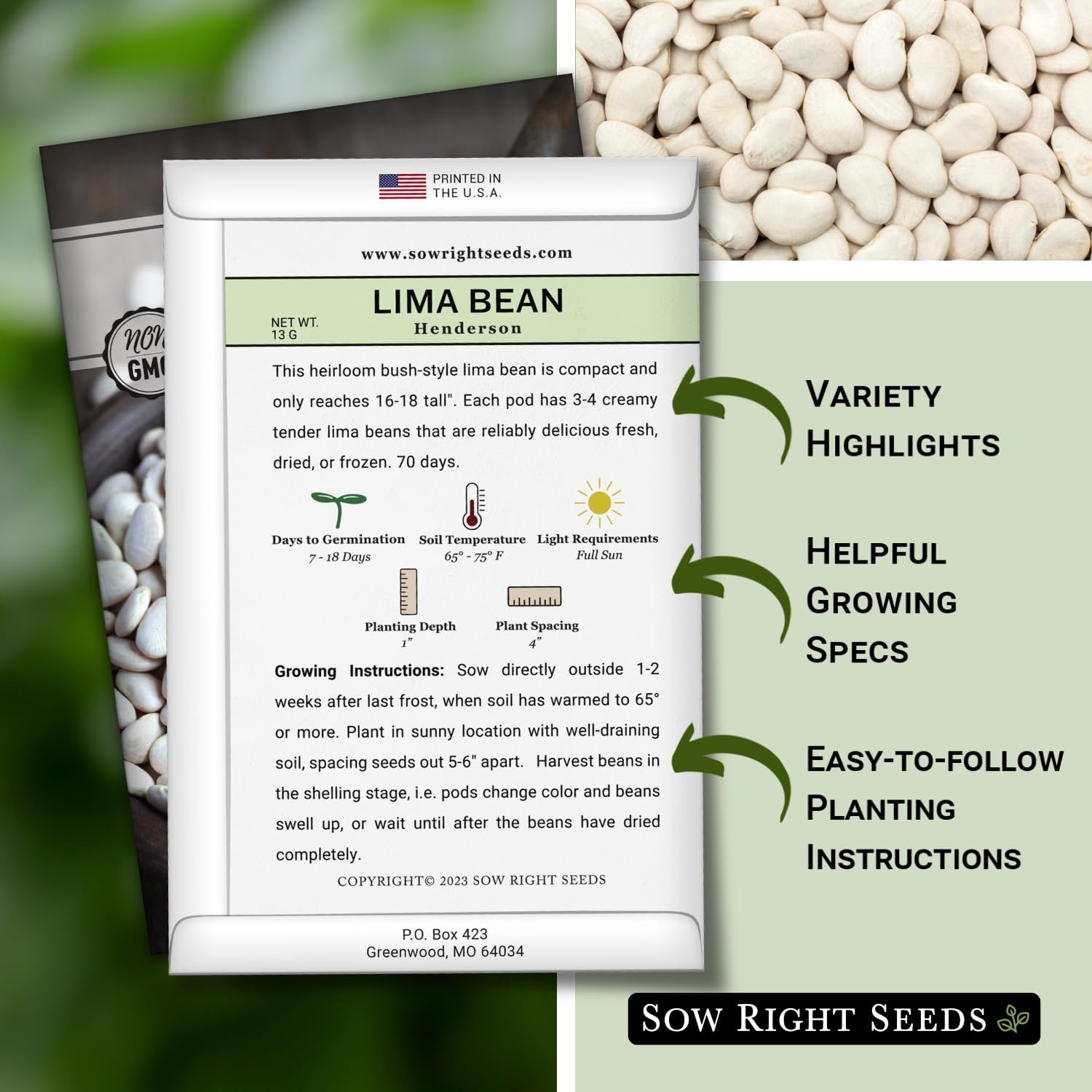 Bush Lima Bean Seeds NonGMO Heirloom for Home Garden Planting & Canning
