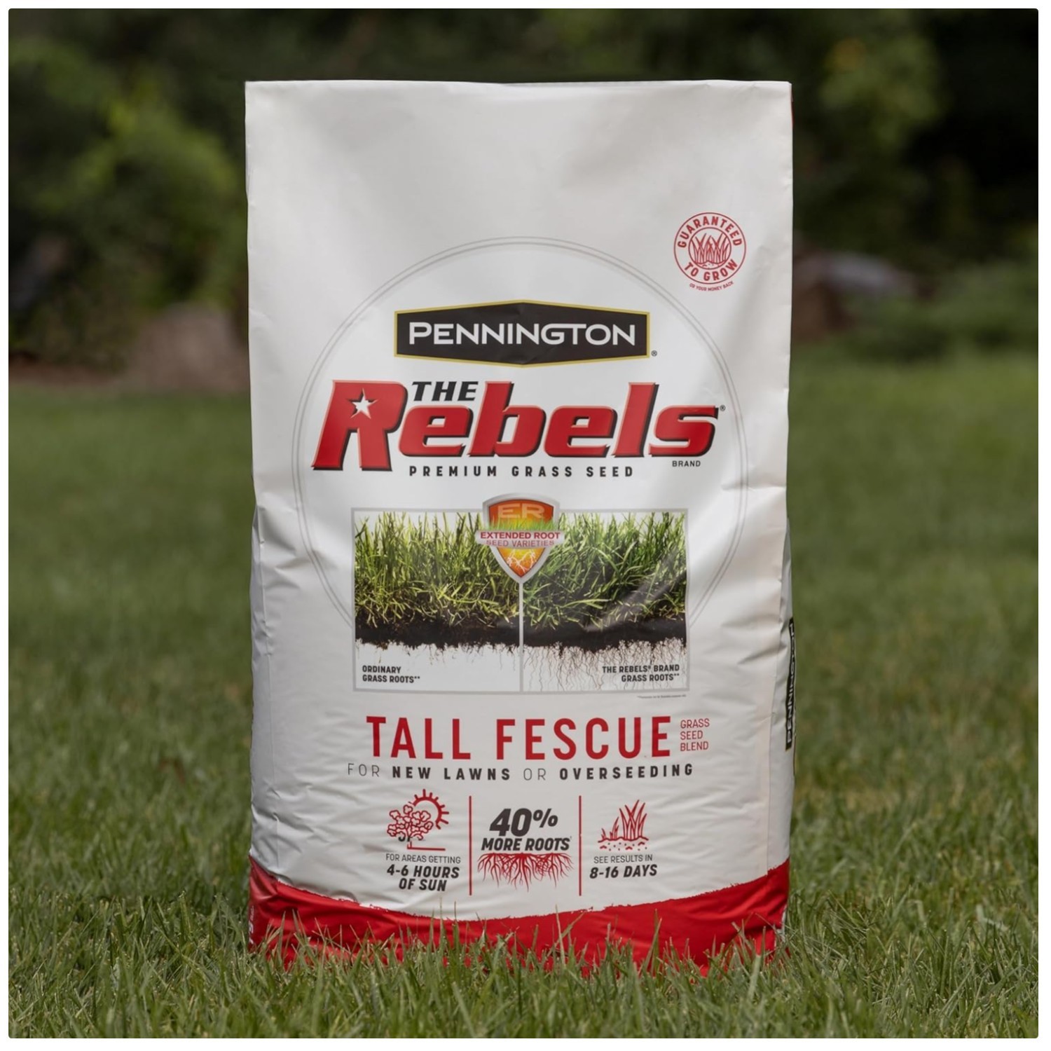 Rebels Tall Fescue Seed Mix, 10,000 sq ft Coverage
