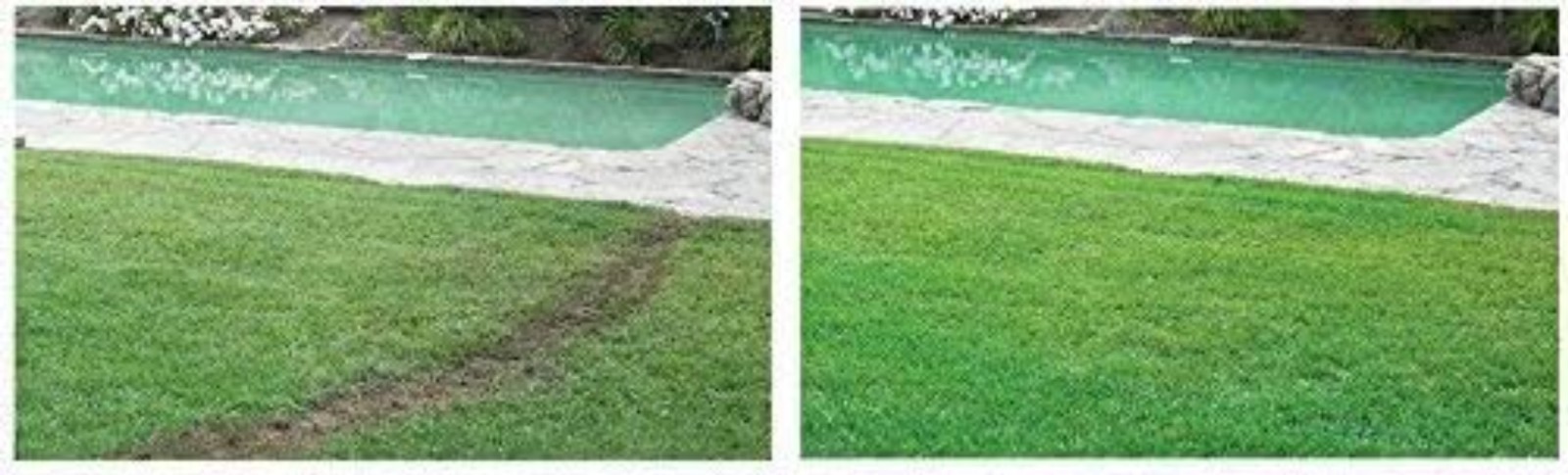 Liquid Lawn Bermuda Rye Kit – Grow Grass Effortlessly Where You Spray – 500 sqft