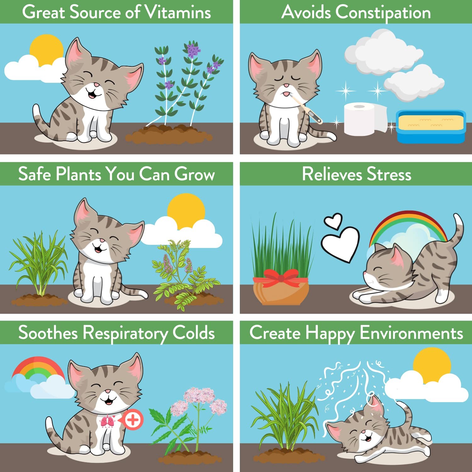 2,160+ Cat Plant Seeds Mix – Non GMO Heirloom Catnip, Lemongrass, Licorice, T…