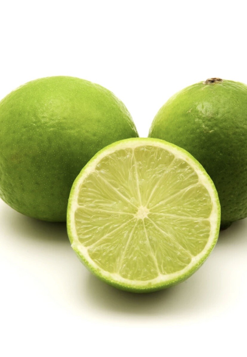 California only!! Persian Lime Tree, 18-36 inches tall, grafted