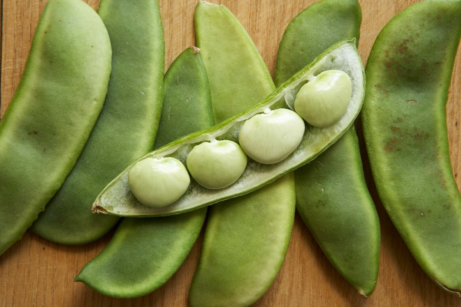 Lima Bean Seeds: Fordhook 242 Lima Bean Seeds Fresh Seed FREE Shipping!!!!!