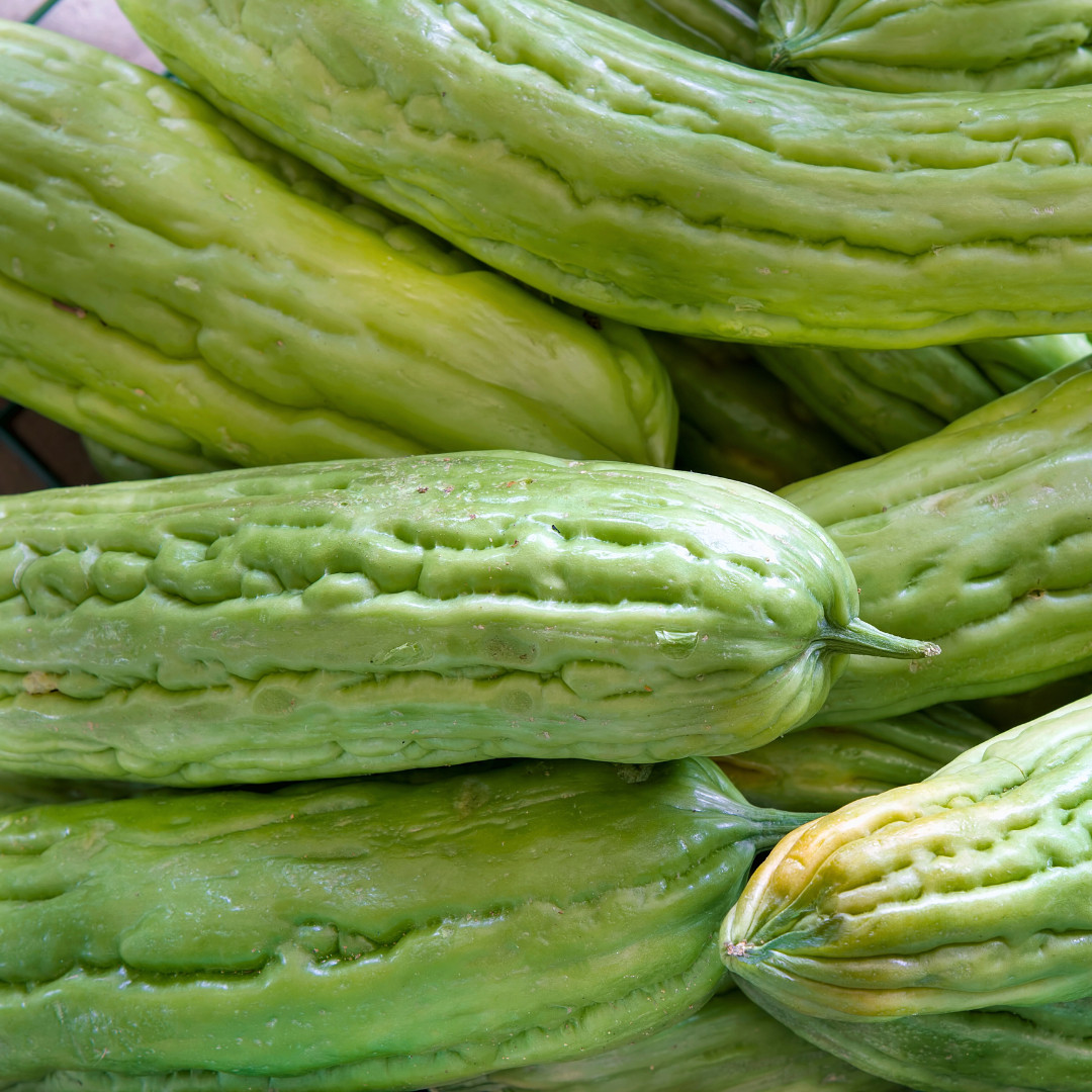 Fresh Bitter Melon Seeds | Tai Guo | Heirloom Non-GMO | Asian Vegetables