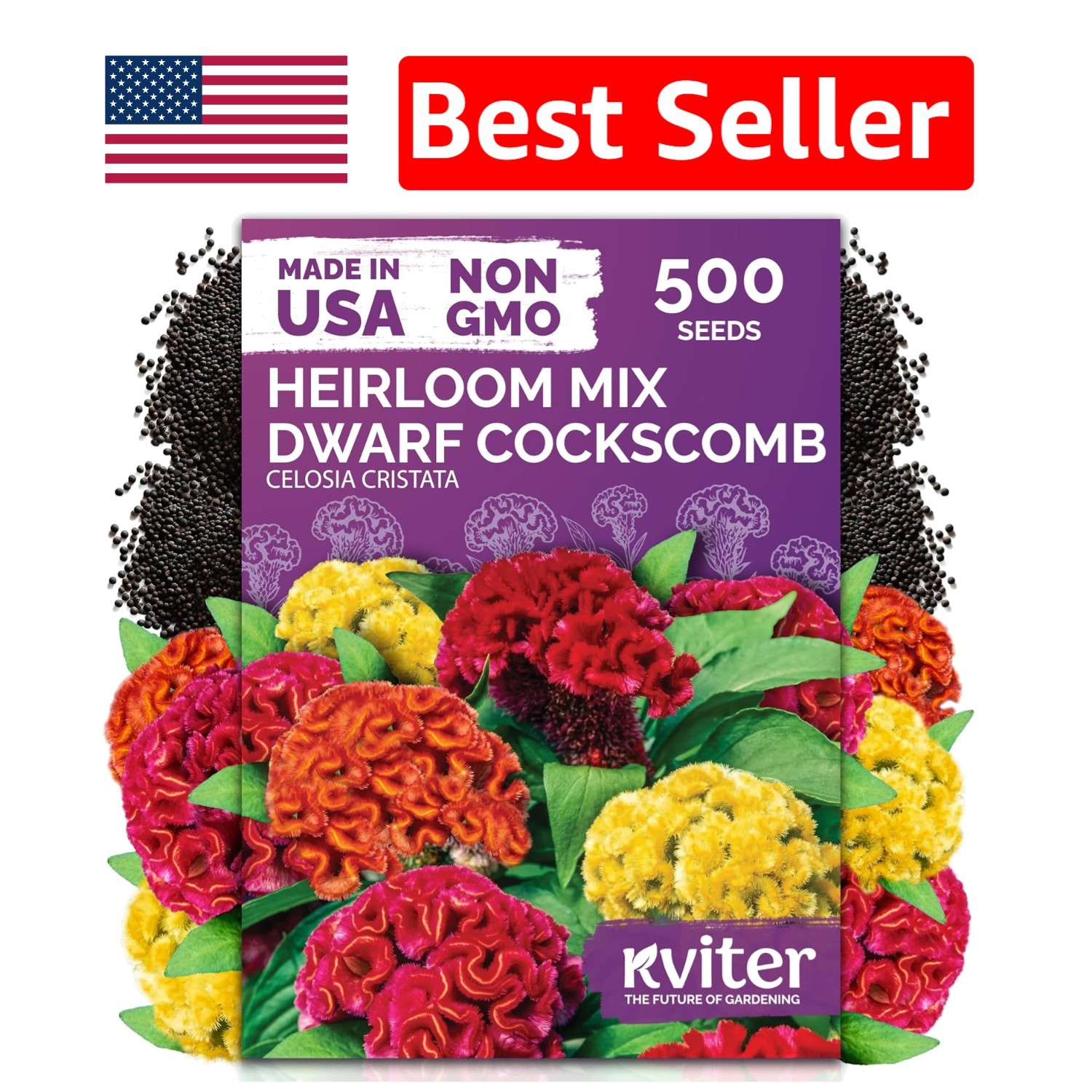 500 Multi-Color Cockscomb Flower Seeds – Easy-Care Dwarf Celosia for All Gardens