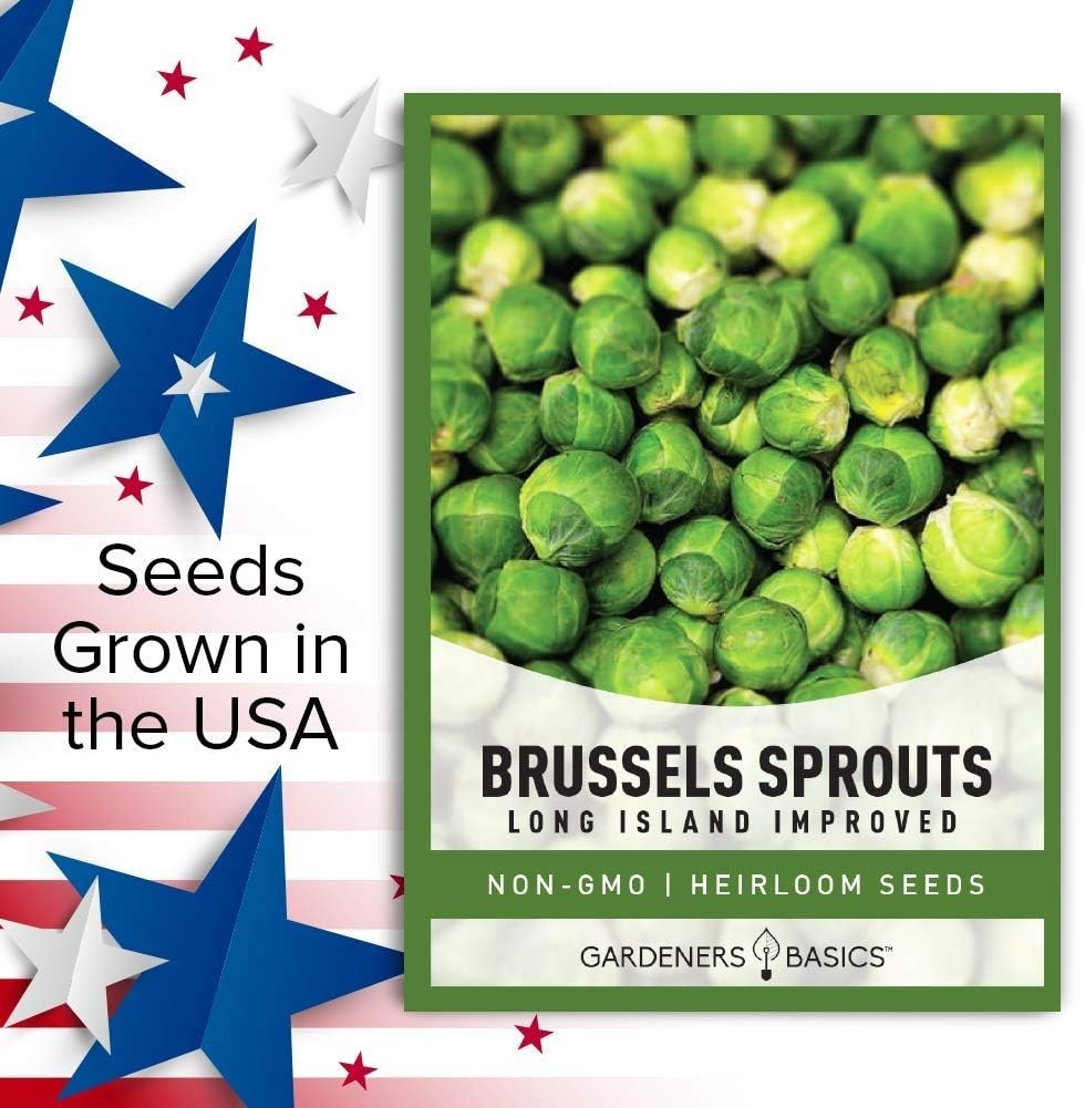 Long Island Improved Brussels Sprouts Seeds – 225 Count, Perfect for All Seasons