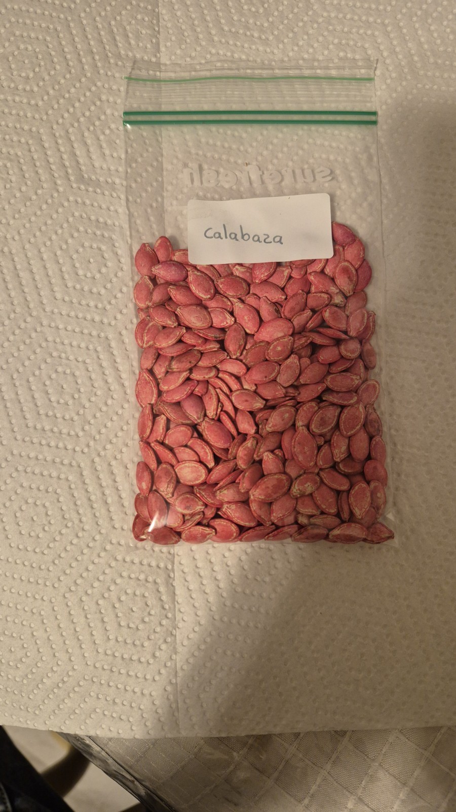 200 semillas De calabaza cuarentena