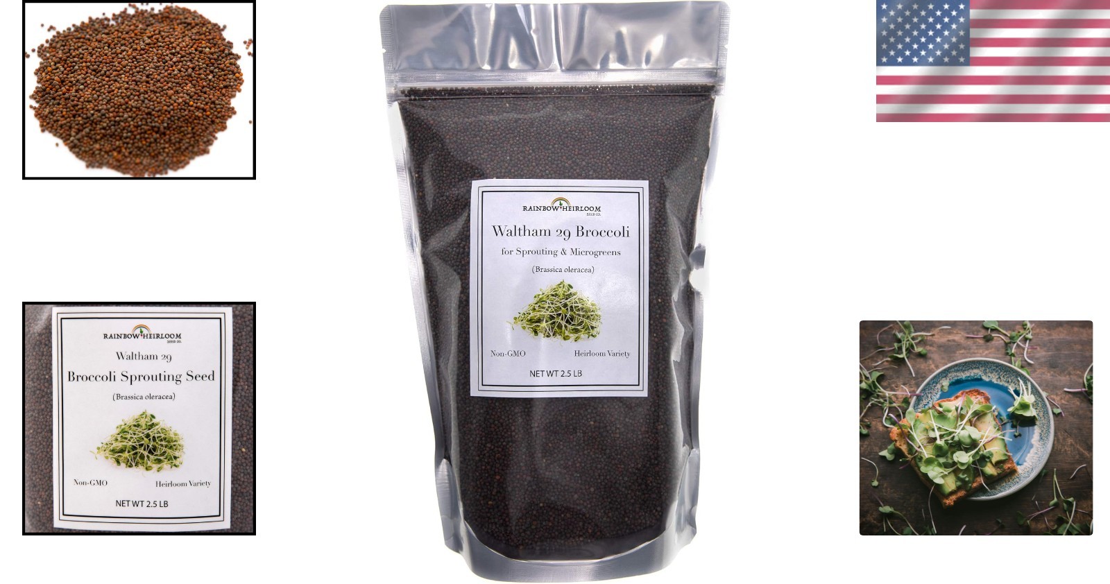 Nutrient-Rich Waltham 29 Broccoli Seeds for -Round Indoor Gardening – 40 oz