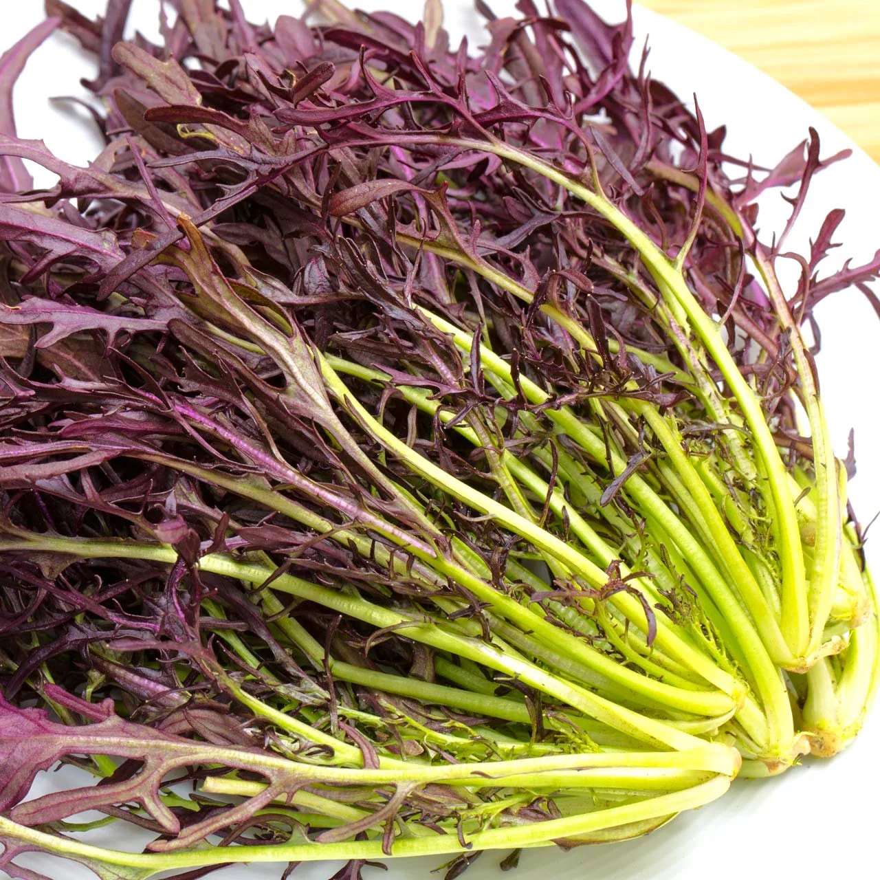 Red Mizuna Mustard Greens Seeds – For 2025 Planting Japanese Water Peppergrass