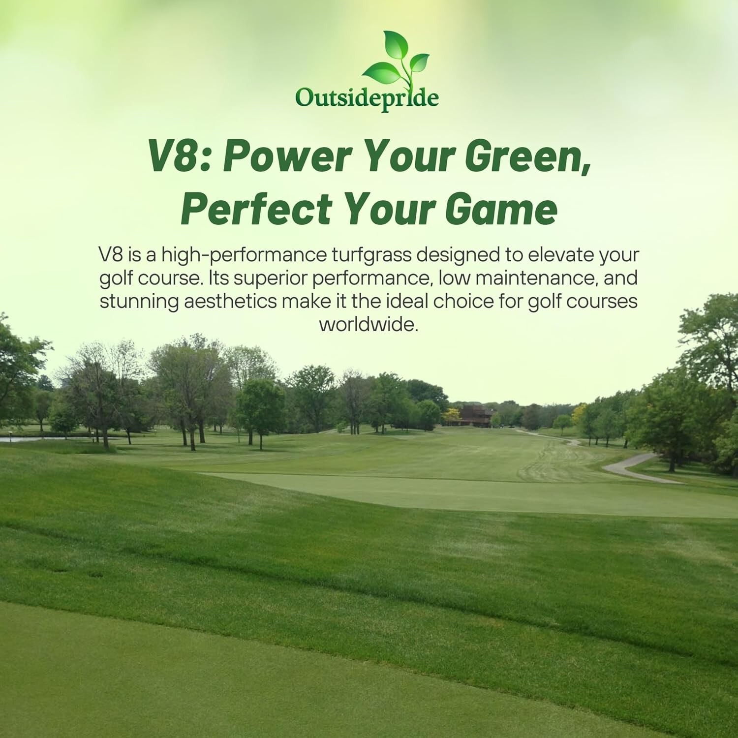 25 LBS V8 Creeping Bent Grass Seed For Golf Courses & Putting Greens