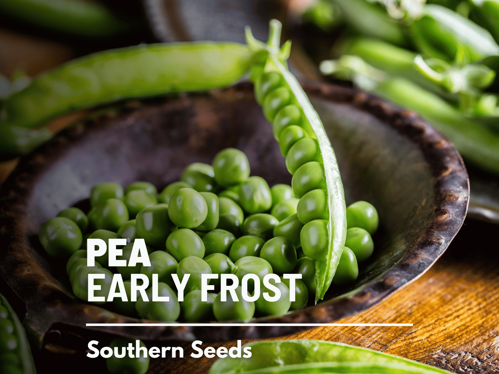Peas, Early Frosty – 25 Seeds – Heirloom Vegetable – Open Pollinated – Non-GMO (