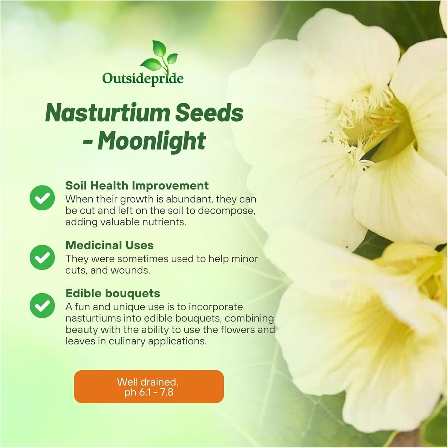 200 Seeds Nasturtium Seed – Climbing Moonlight Flowering Vine Seeds