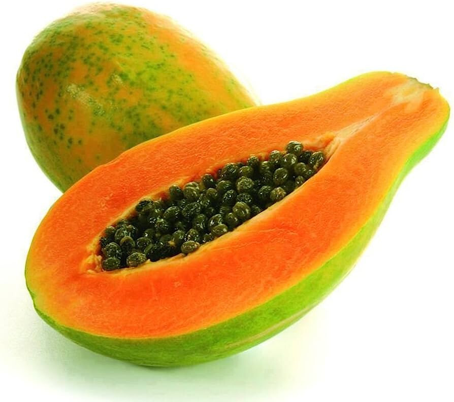 25 Organic Maradol Papaya Seeds / Edible Tropical Fruit / FAST EASY GROW