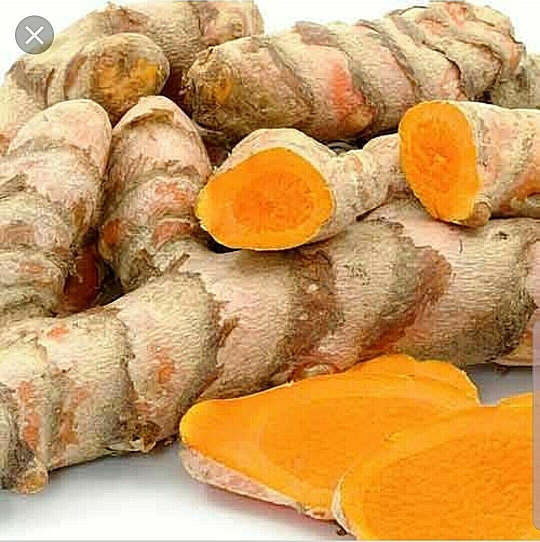Fresh Turmeric Roots USDA certified Organic 8oz. for Arthritis, FREE SHIPPING