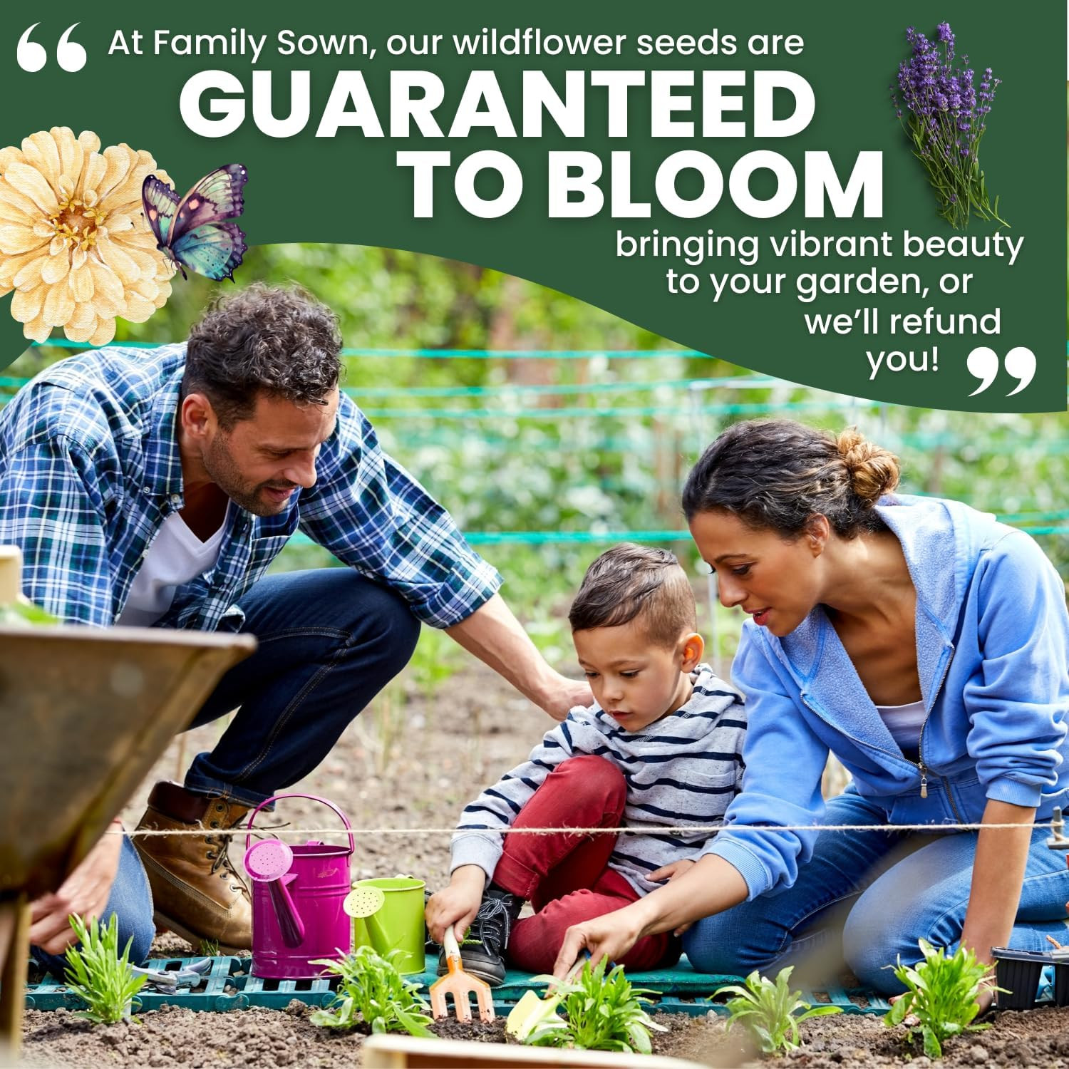 Midwest Regional Mix – 14,000 Seeds for Planting – 2026 Season – 1 Ounce Pouch