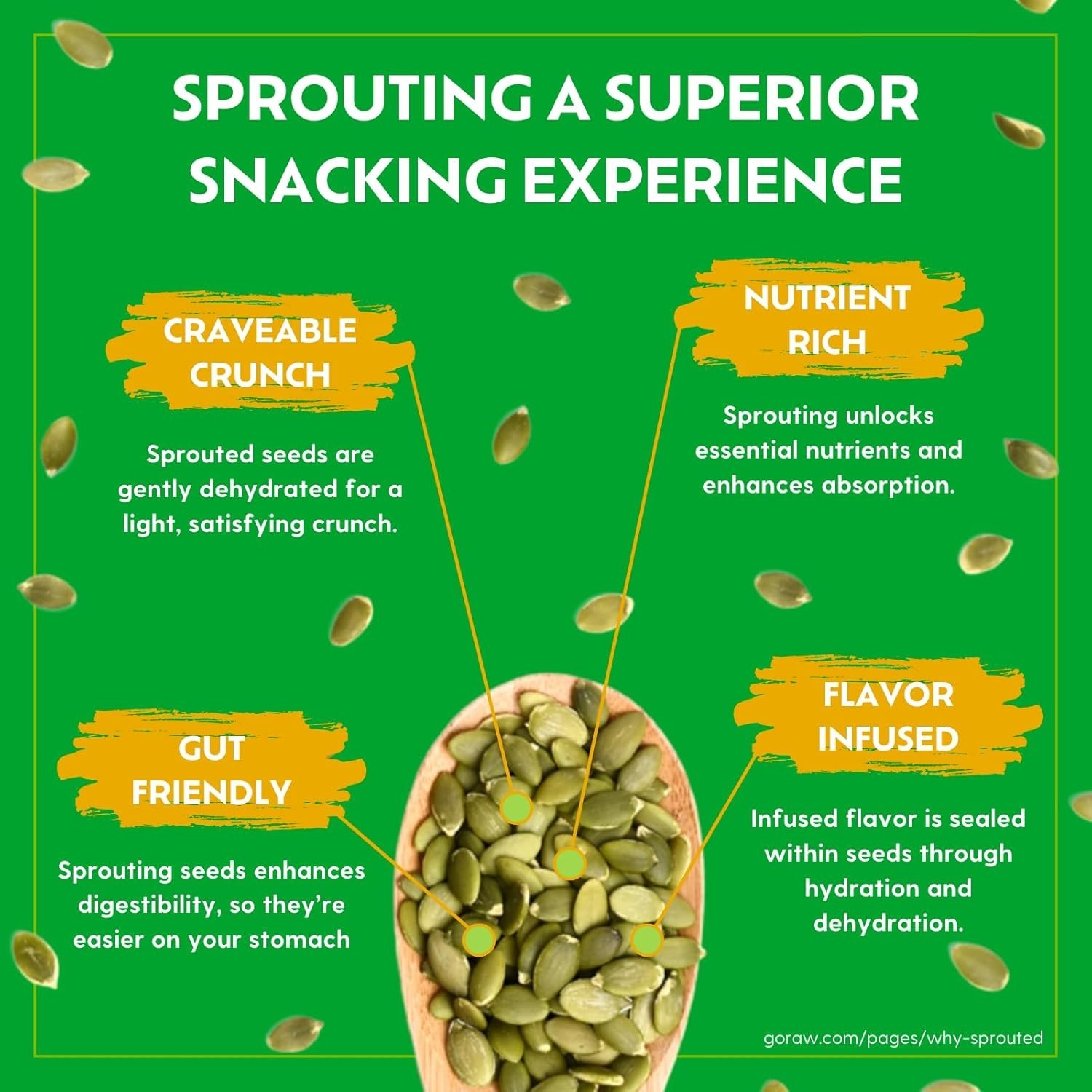 Nutty Flavor Organic Sprouted Pumpkin Seeds, 14 Oz – Protein Boost for Adults