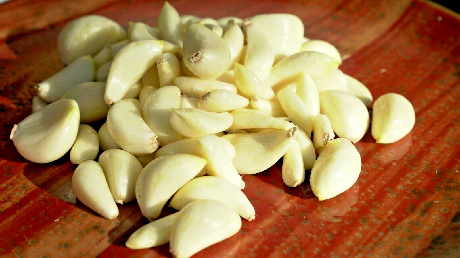 Chesnok Red GARLIC 1 bulb – 16lbs Fresh Organic Heirloom Hardneck Plant or Cook