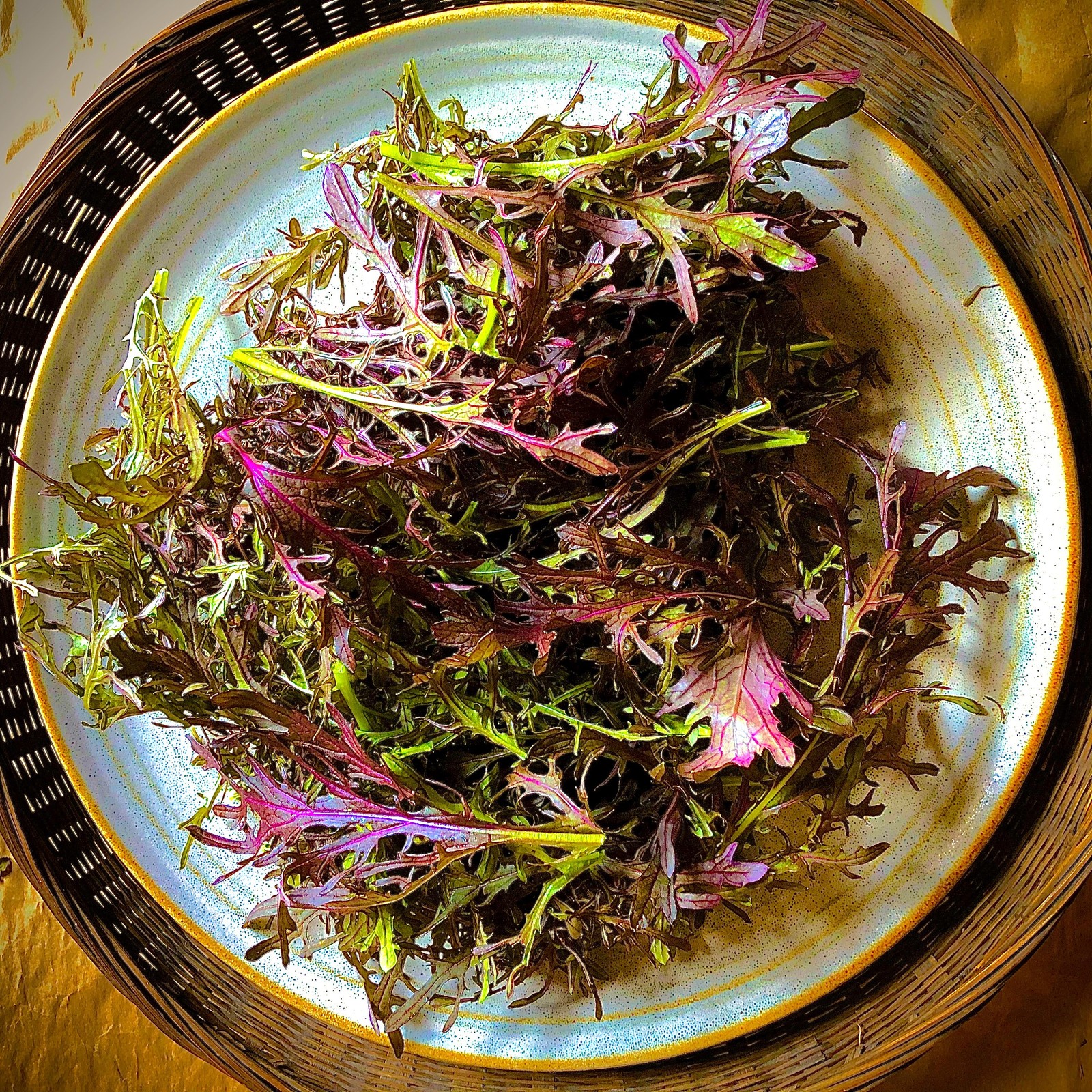 Red Mizuna Mustard Greens Seeds – For 2025 Planting Japanese Water Peppergrass