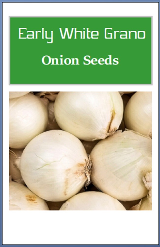 Early White Grano PRR Onion Seeds | NON-GMO | Heirloom | Fresh Garden Seeds