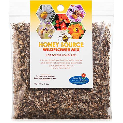 Honey Source Wildflower Seeds Mix for Honey Bees 4oz – Premium Annual and