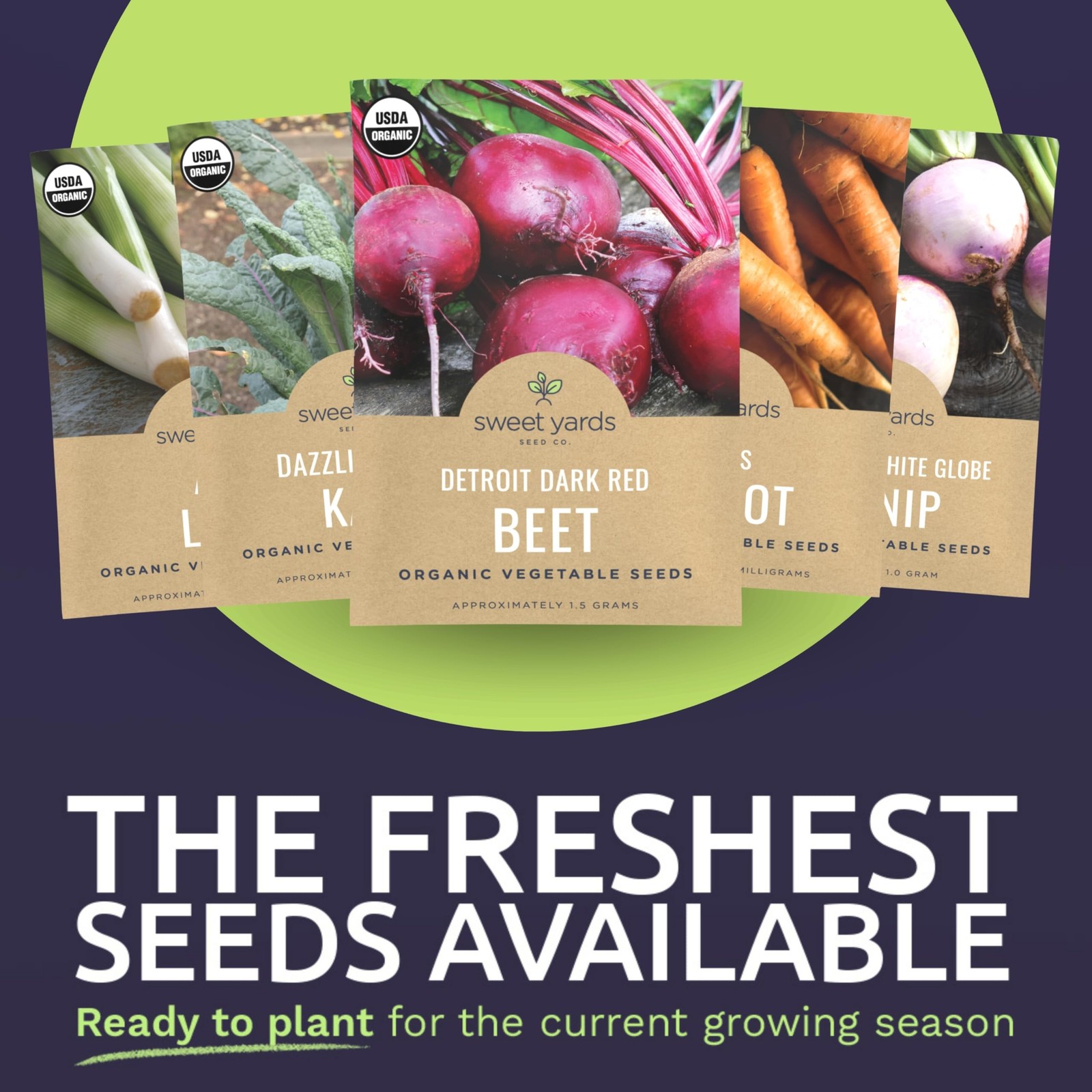 Organic Cold Hardy Fall & Winter Seeds Variety Pack – 10 Individual Packs – 2…
