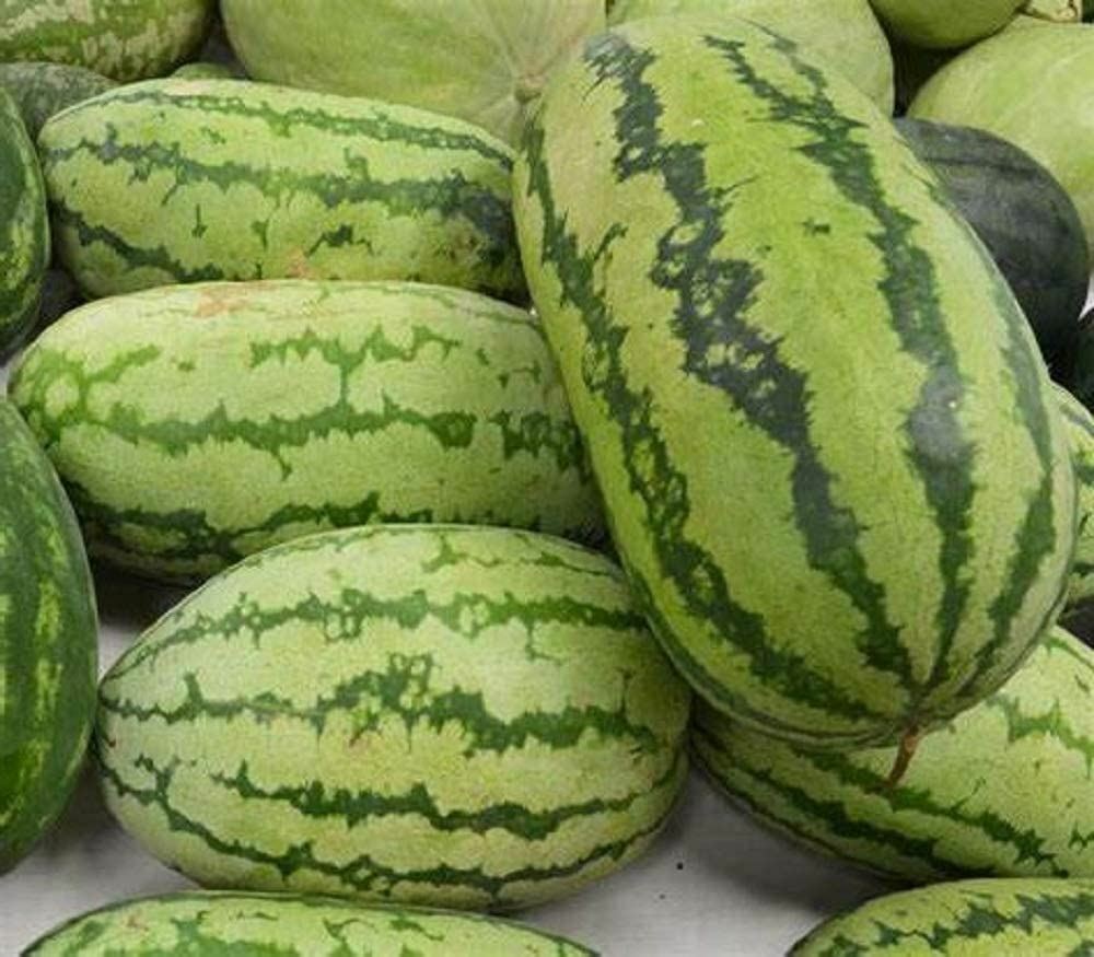 Watermelon Seeds, Jubilee Watermelon Seeds, “COOL BEANS N SPROUTS” Brand.