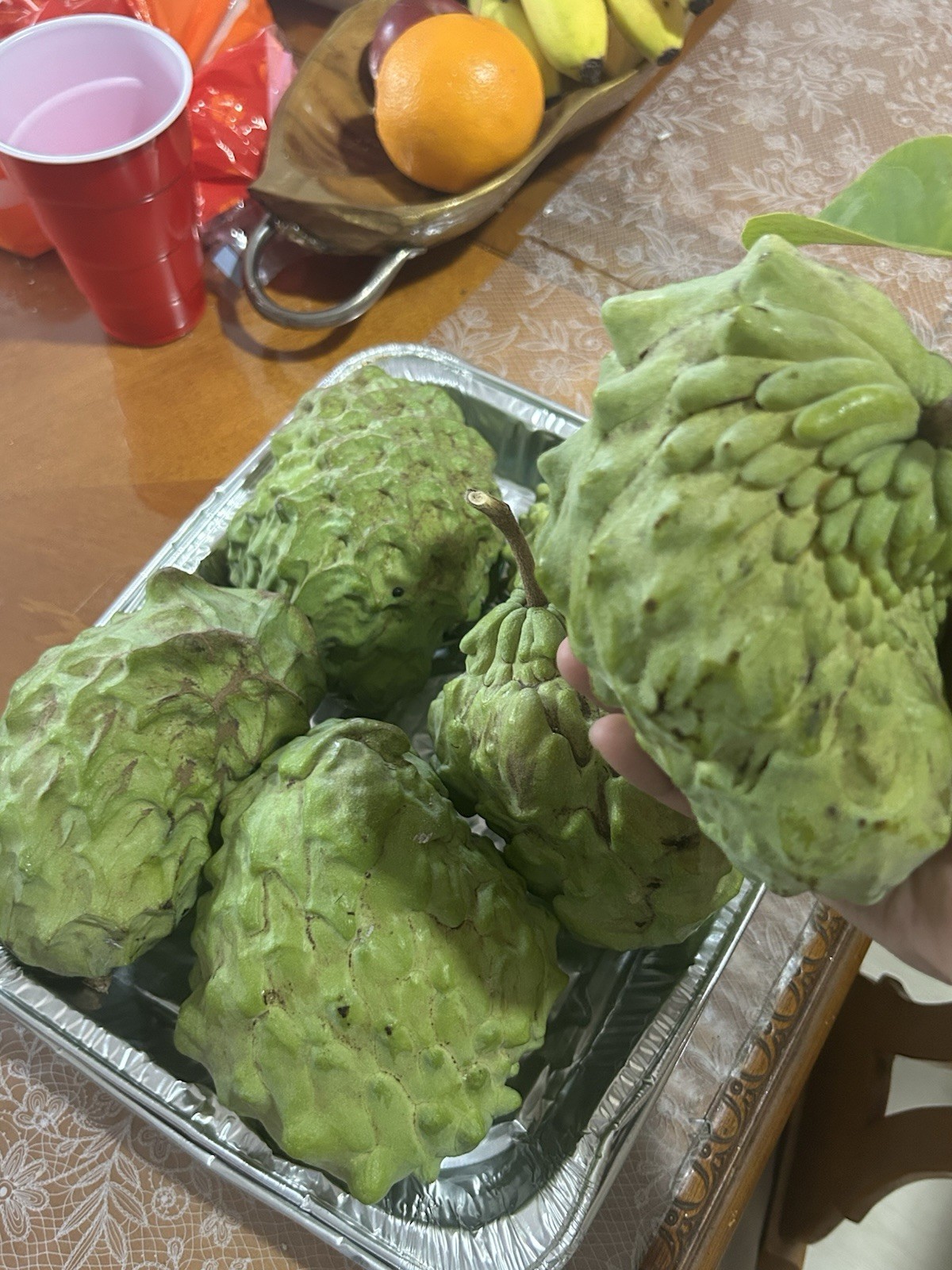 10+ Extra Sweet Sugar Apple Australian Seeds | Sweetsop Mang cau | Trái Na