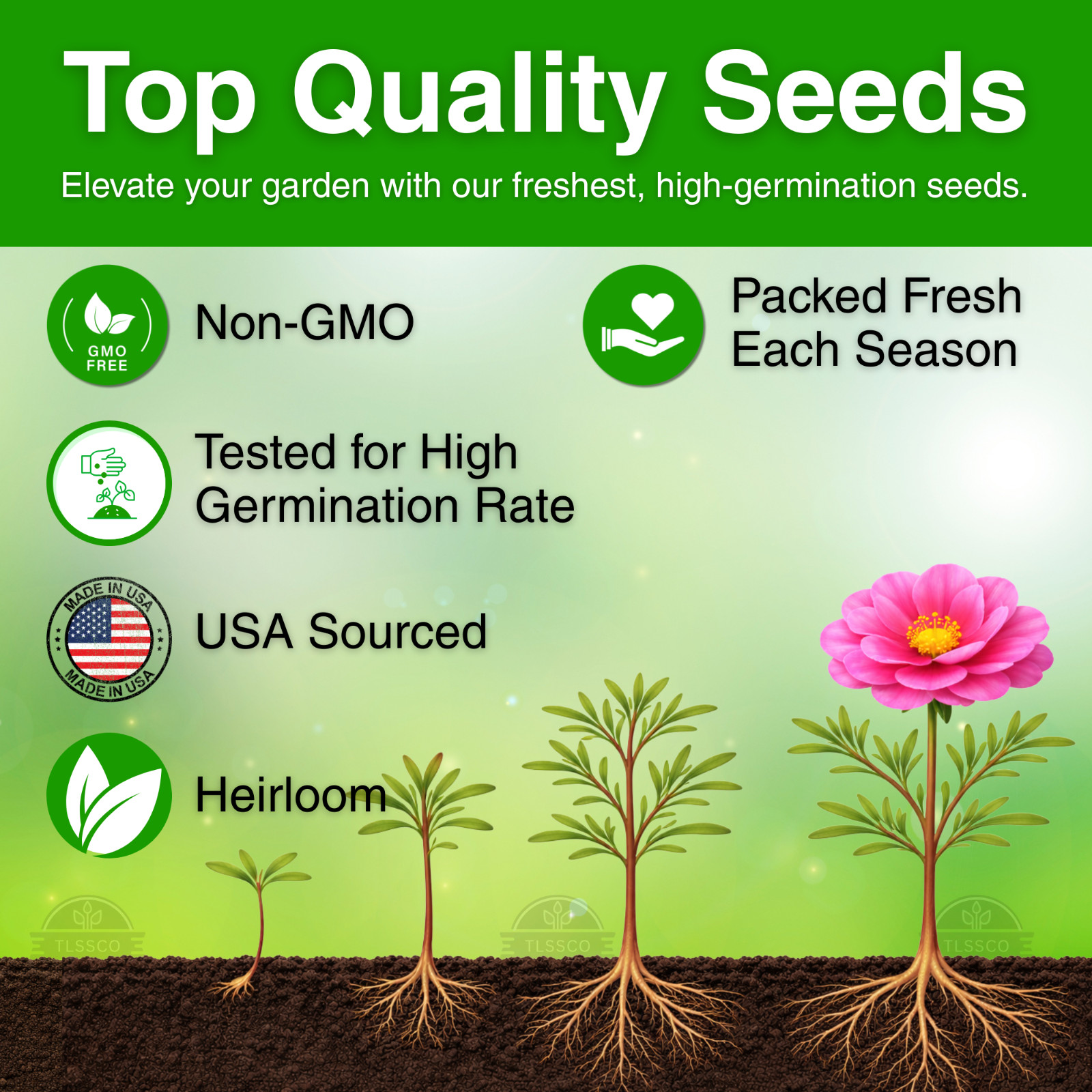 10000+ MIXED MOSS ROSE SEEDS PORTULACA GRANDIFLORA MIX FLOWERS GROUNDCOVER
