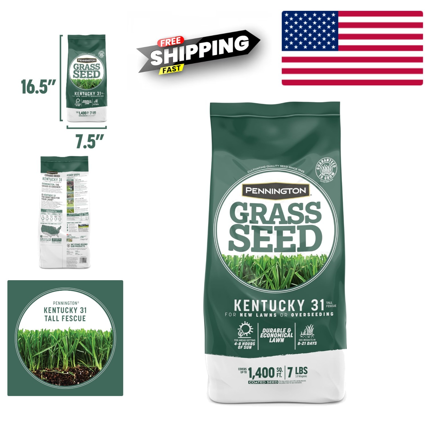 Kentucky 31 Tall Fescue Penkoted Grass Seed for Thick Green Lawns in Any Season