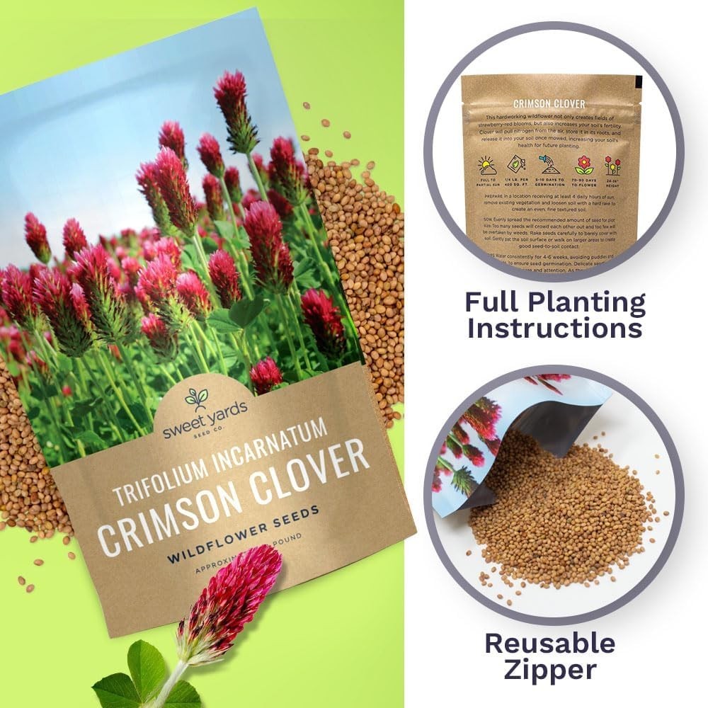 Crimson Clover Seeds for Planting – Bulk 5 Pounds – Over 400,000 Open Pollina…