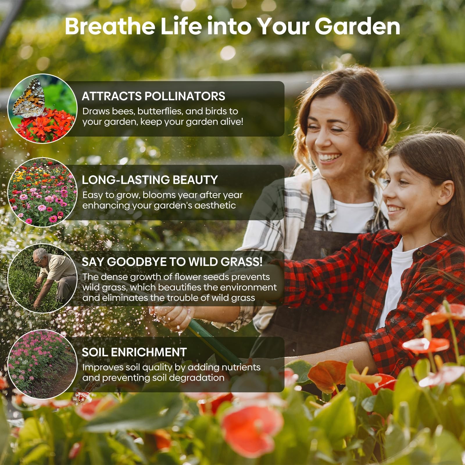 All Perennial Wildflower Seeds Bulk Mix W/ Milkweed Pollinators Zones 3-10 1/4LB