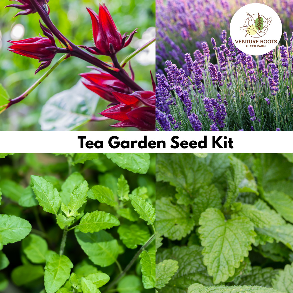 Tea Garden Seed Kit | Holy Basil, Lemon Balm, Lavender, Roselle seed bundle