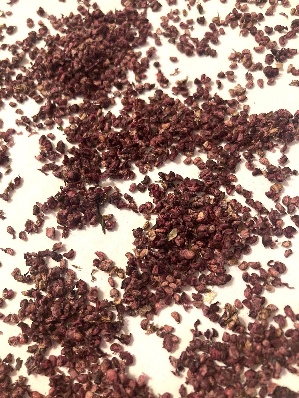 Black Raspberry Seeds (Rubus Occidentalis) Blackcap Raspberry Thimbleberry