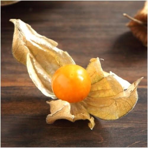 Ground Cherry Tomatillo Seeds For Planting (Physalis pruinosa)