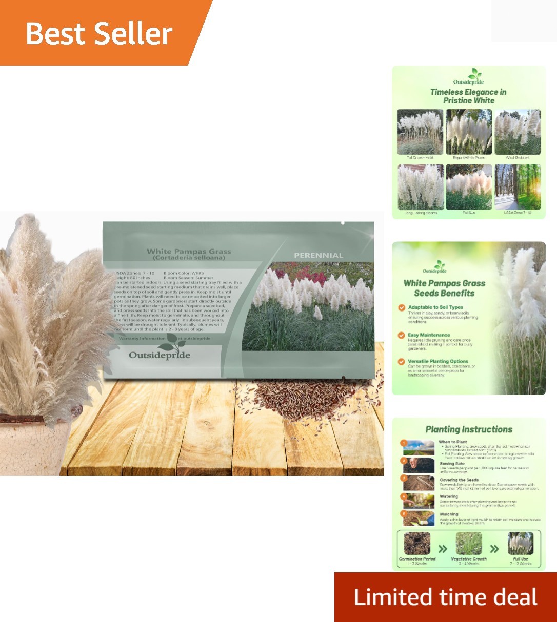 White Pampas Grass Seeds – 1,000 Pcs. Perennial, Drought-Tolerant Ornamental …