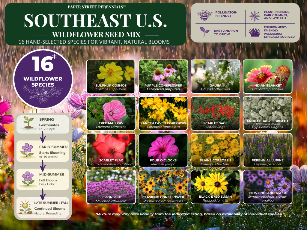 1/4LB Tennessee Bulk Wildflower Seed Mix 1lb Covers 2,000sq-ft Colorful Blooms