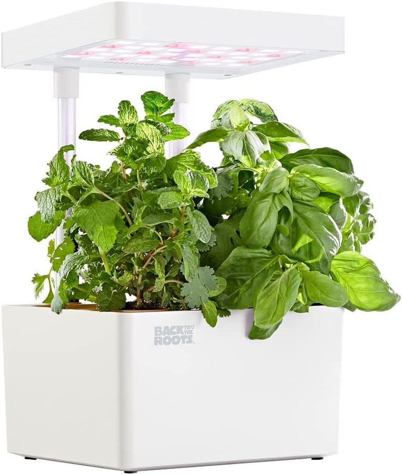 Hydroponic Grow Kit, Indoor (Matte White) Seeds Included Everything Included