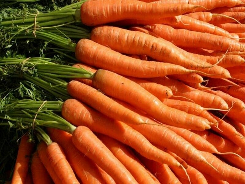 #7 Heirloom Vegetable Seeds 6 Variety Garden Set Emergency Survival NON-GMO 150+