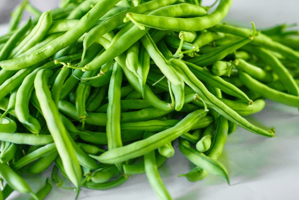 30 Provider Bush Green Bean Seeds – Heirloom NonGMO SUPER High Yields!!