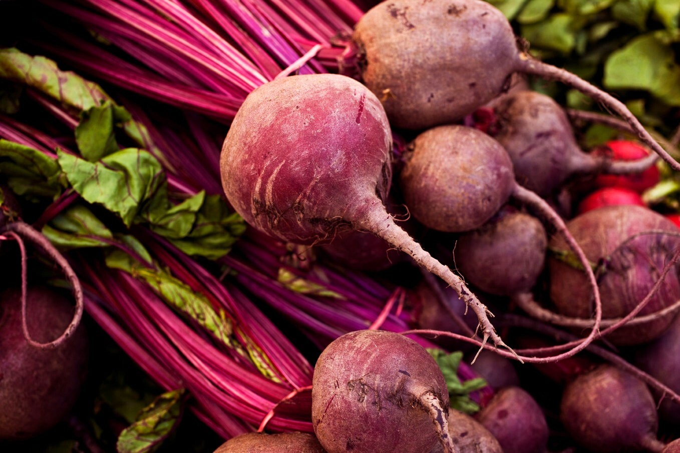 BEET Ruby Queen 200 NON – HYBRID NON – GMO Seeds Open Pollinated Heirloom