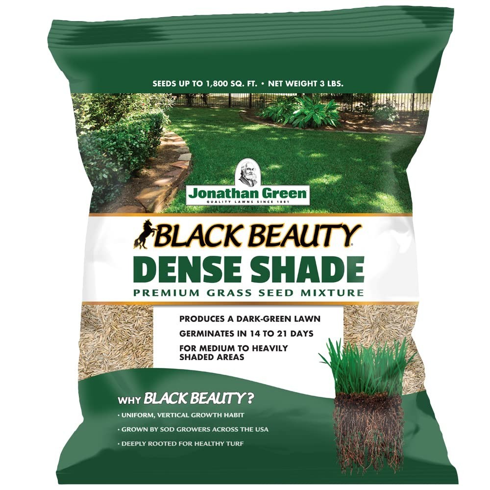 Dense Shade Grass Seed – Black Beauty Cool Season Lawn Seed for Thick Turf (3 lb
