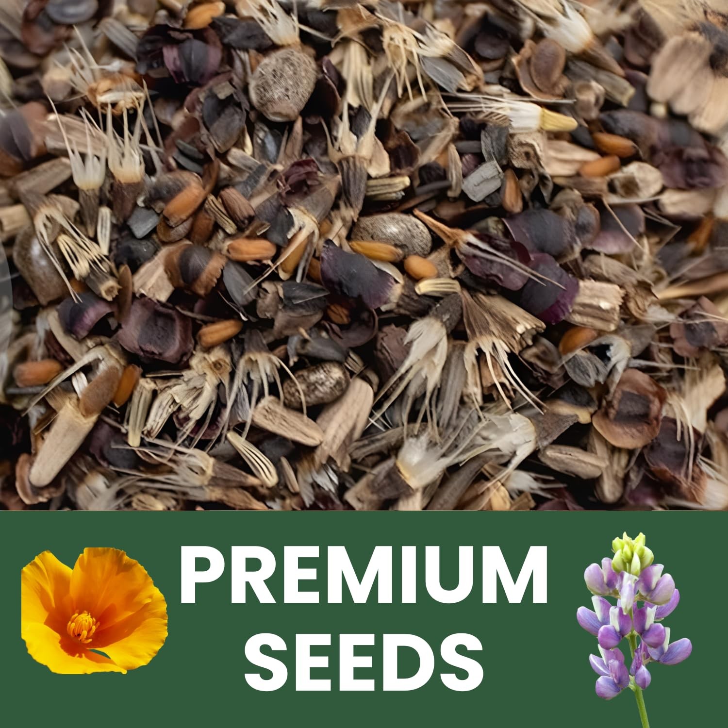 Bulk Wildflower Seeds Annual Quick Blooming 1/4 Pound Bag, Multiple Colors