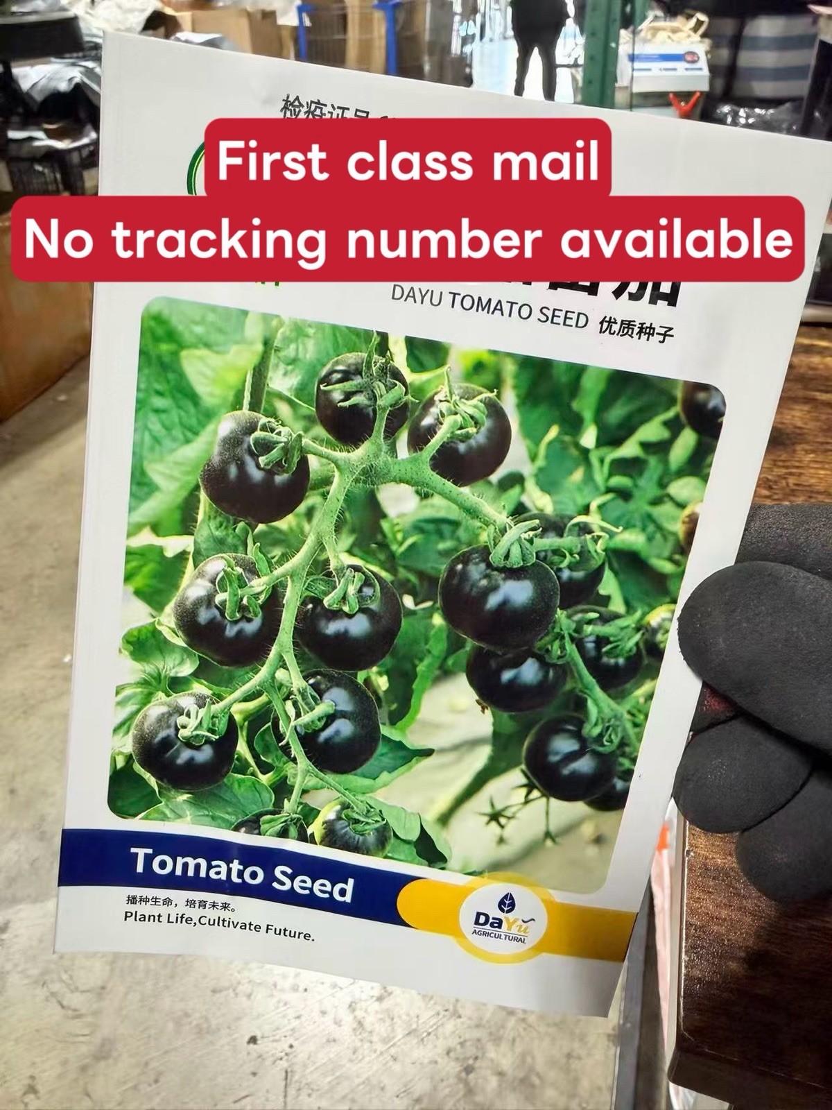 Black Cherry Tomato Seeds Heirloom Non GMO Sweet Juicy Garden Planting 50 Seeds