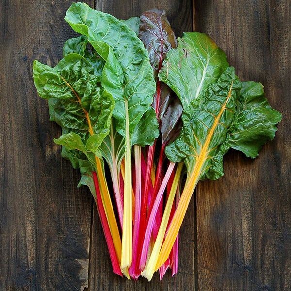 55 Organic Non-GMO Northern Lights Mix Swiss Chard Seeds- Seeds Of Tomorrow