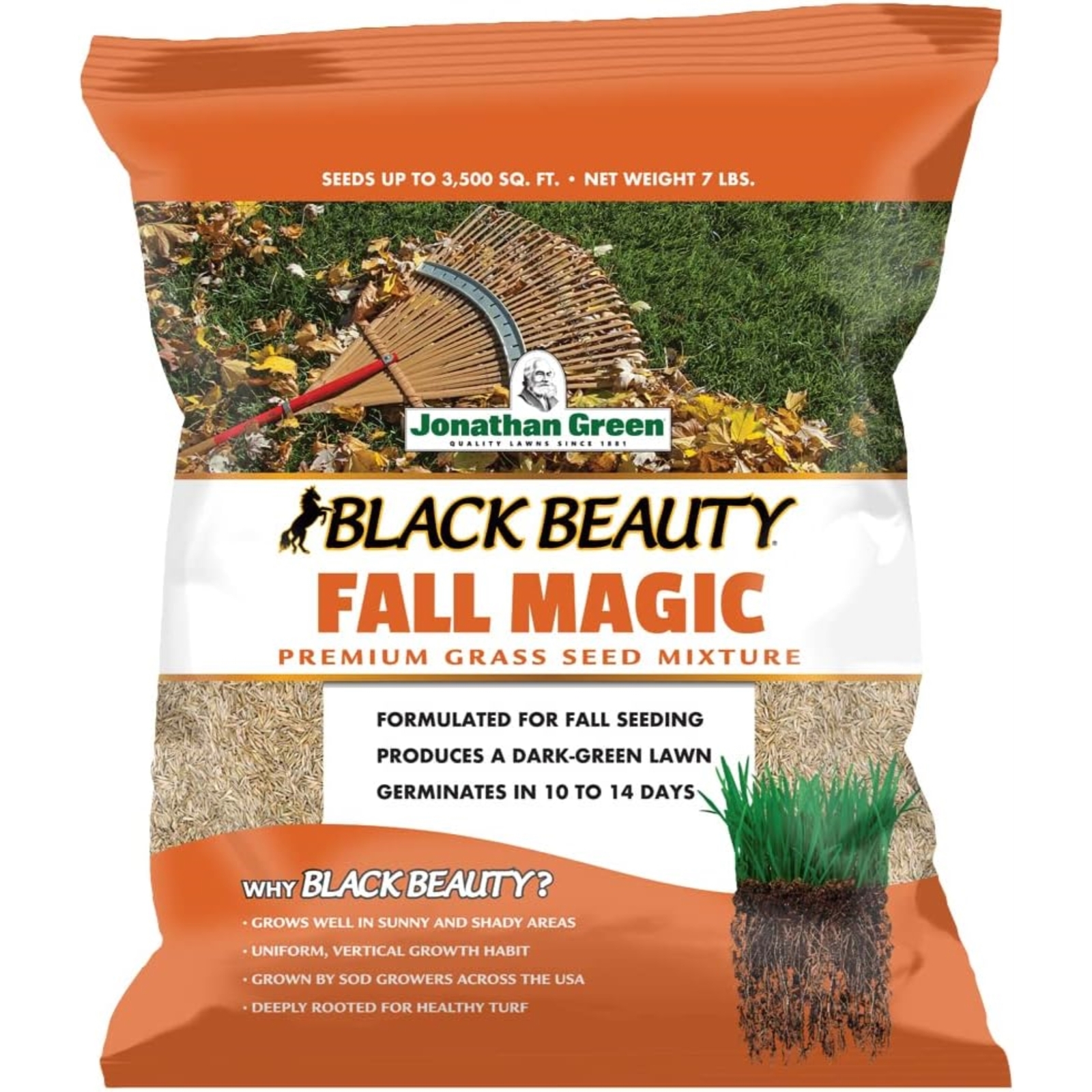 Jonathan Green Black Beauty Fall Magic Grass Seed, 7lb