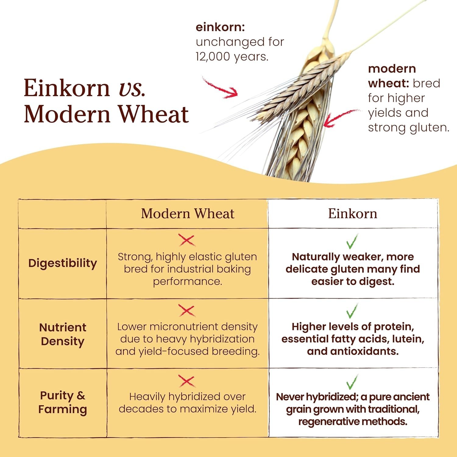 Jovial Organic Einkorn Unbleached All Purpose Flour – 32 Ounce (Pack of 1)