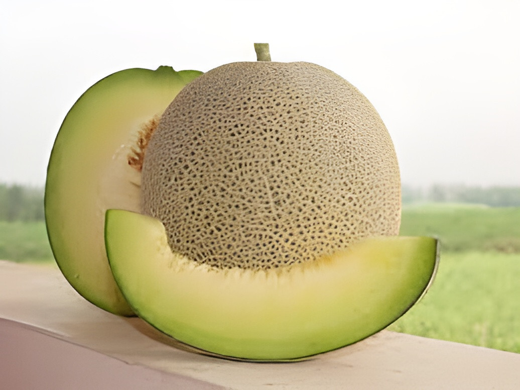 40 Heirloom Rocky Ford Melon Seeds – Green Flesh, Insanely Sweet, Mildly Tart!